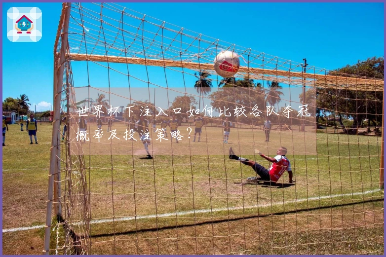 世界杯下注入口如何比较各队夺冠概率及投注策略？