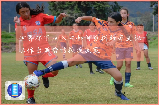 世界杯下注入口如何分析赔率变化以作出明智的投注决策