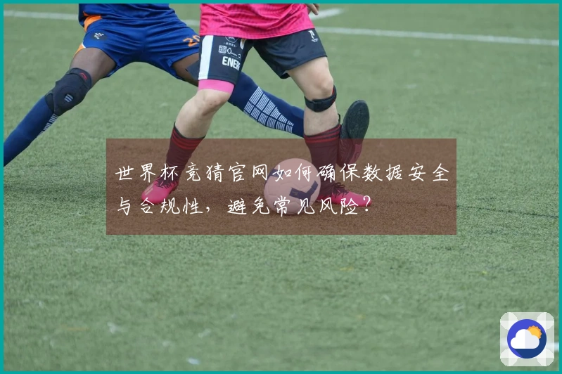 世界杯竞猜官网如何确保数据安全与合规性，避免常见风险？