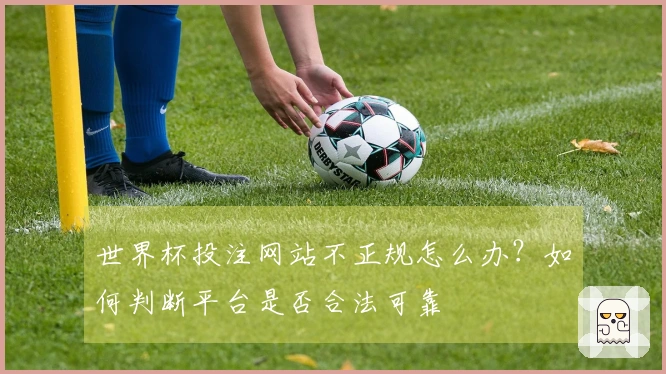 世界杯投注网站不正规怎么办？如何判断平台是否合法可靠