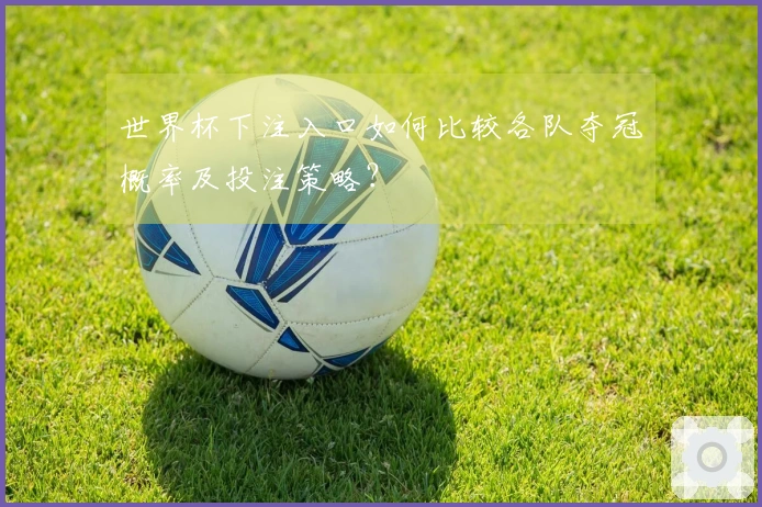 世界杯下注入口如何比较各队夺冠概率及投注策略？